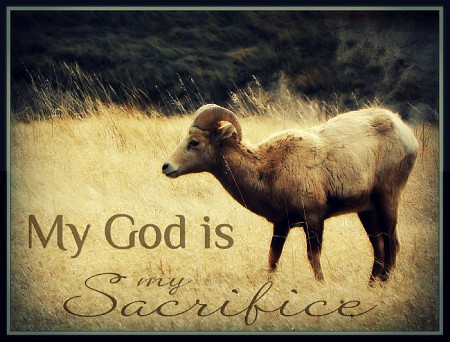 My God is my Sacrifice